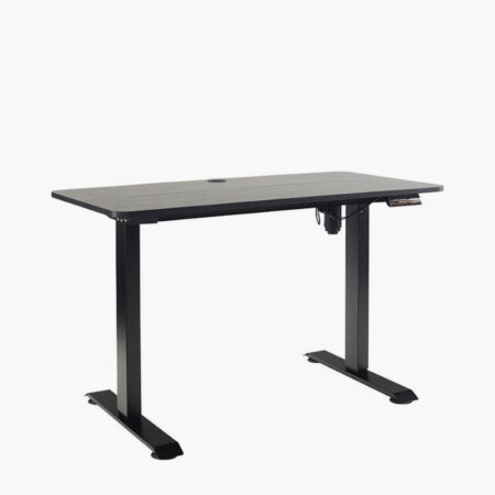 Initiative Sit-Stand Desk 1200x600